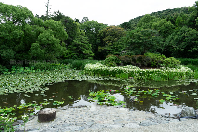 氷室の池