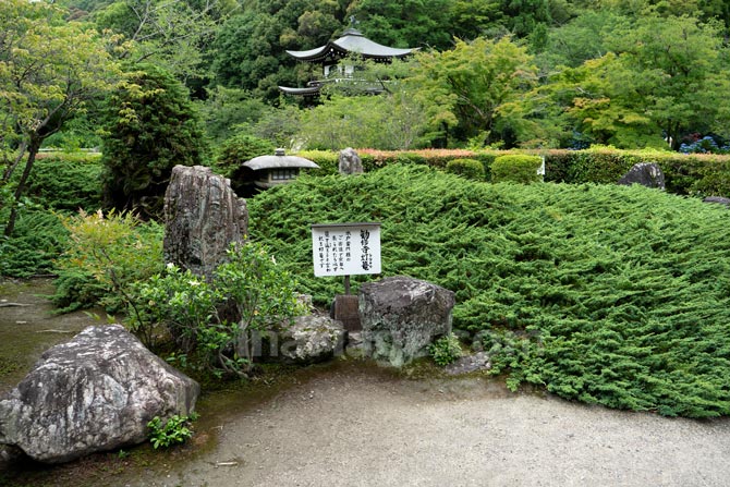 書院前の庭園