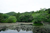 鏡容池