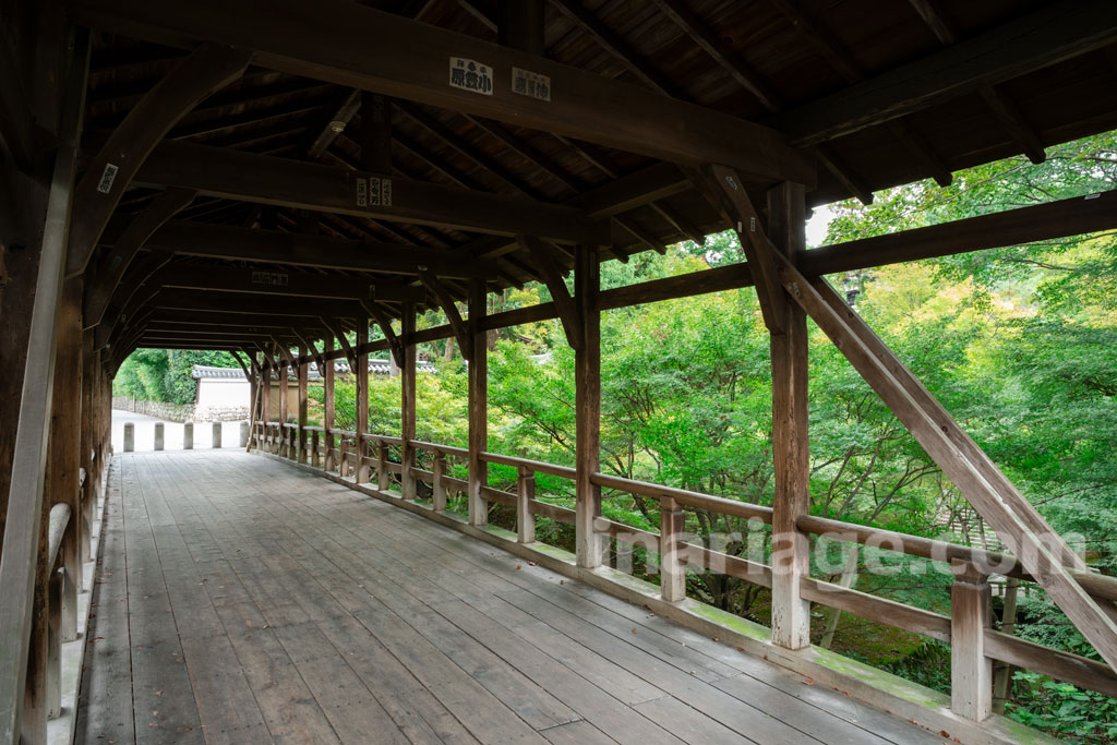 東福寺 臥雲橋