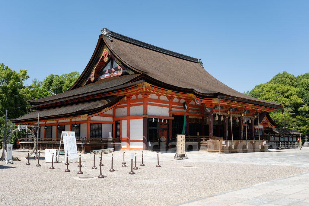 八坂神社 本殿と茅の輪