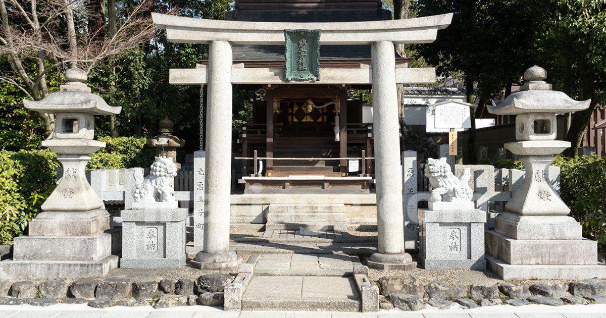 iku　不思議な町の王子様 Amazon.co.jp: 《 初回限定盤 》 -真天地開闢集団-ジグザグ